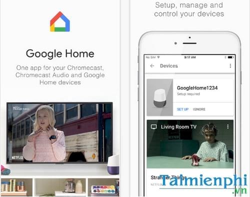google home