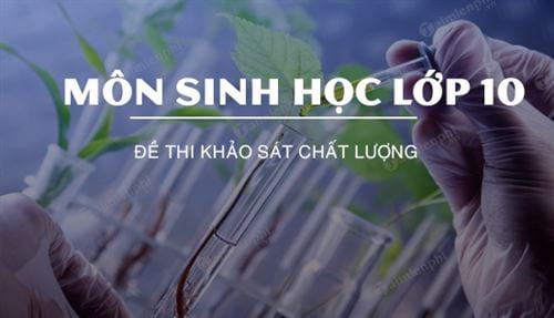 de thi khao sat chat luong mon sinh hoc lop 10