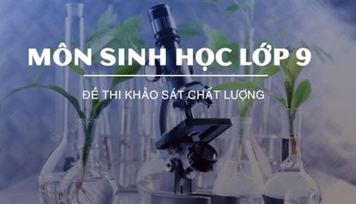 de thi khao sat chat luong mon sinh hoc lop 9