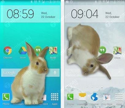 bunny in phone cute joke