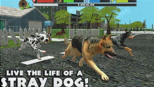 stray dog simulator