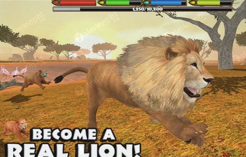 ultimate lion simulator