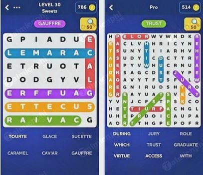 word search quest
