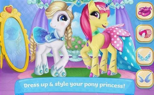 pony princess academy