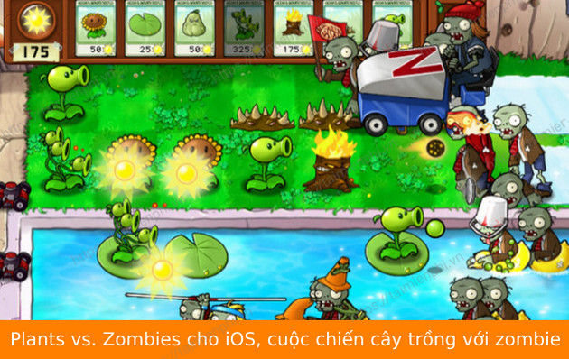 tai plants vs zombies cho ios