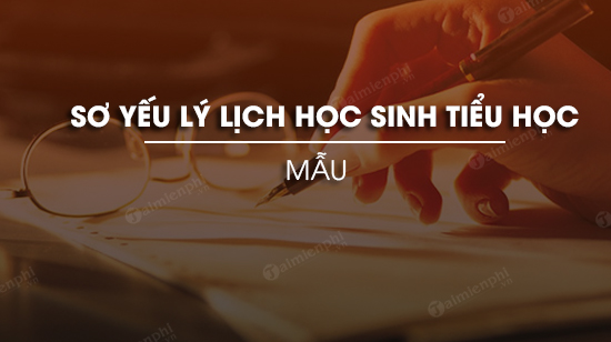 mau so yeu ly lich hoc sinh tieu hoc