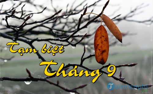 stt tam biet thang 9 2