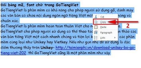 doi bang ma font chu trong gotiengviet