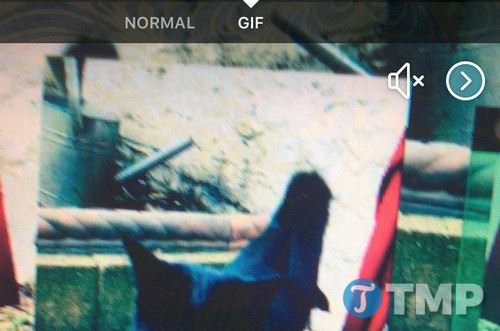 facebook bo sung nhieu hieu ung chup anh sieu chat ho tro tao gif 2