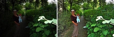 [Image: giveaway-brightness-guide_2.jpg]