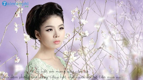 loi bai hat kiep cam ca 2