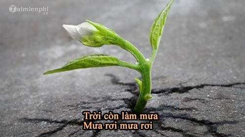 loi bai hat tuoi da buon 2