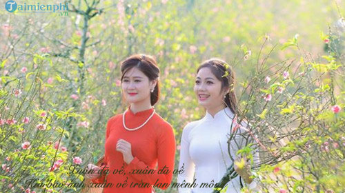 loi bai hat xuan da ve