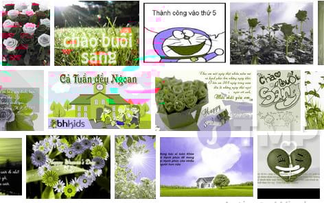 loi chuc dau tuan