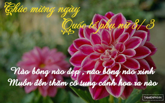 bai hat 8 3 hay nhat tang chi em phu nu