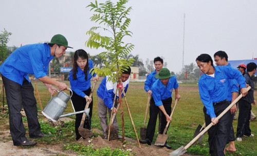 nam mo thay trong cay trong rau trong hoa 2