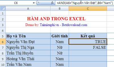 ham and trong excel