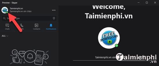 thiet lap trang thai online tren skype moi 2