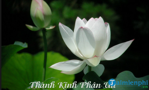 tin nhan chia buon dam ma 2