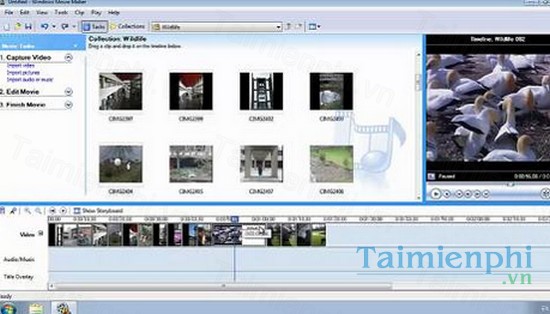 download windows movie maker