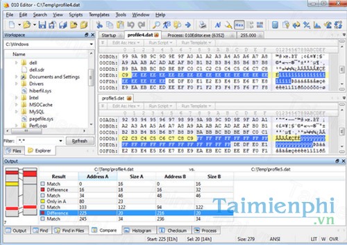 download 010 editor