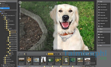 download ashampoo photo optimizer