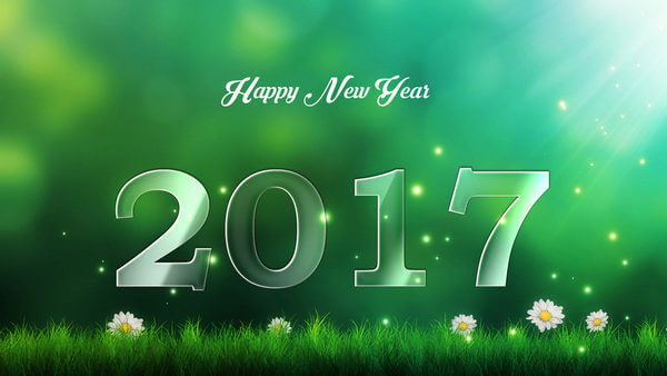 hinh nen don nam moi 2017