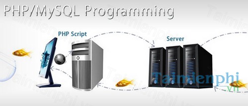download phpmysql programming for the absolute beginner