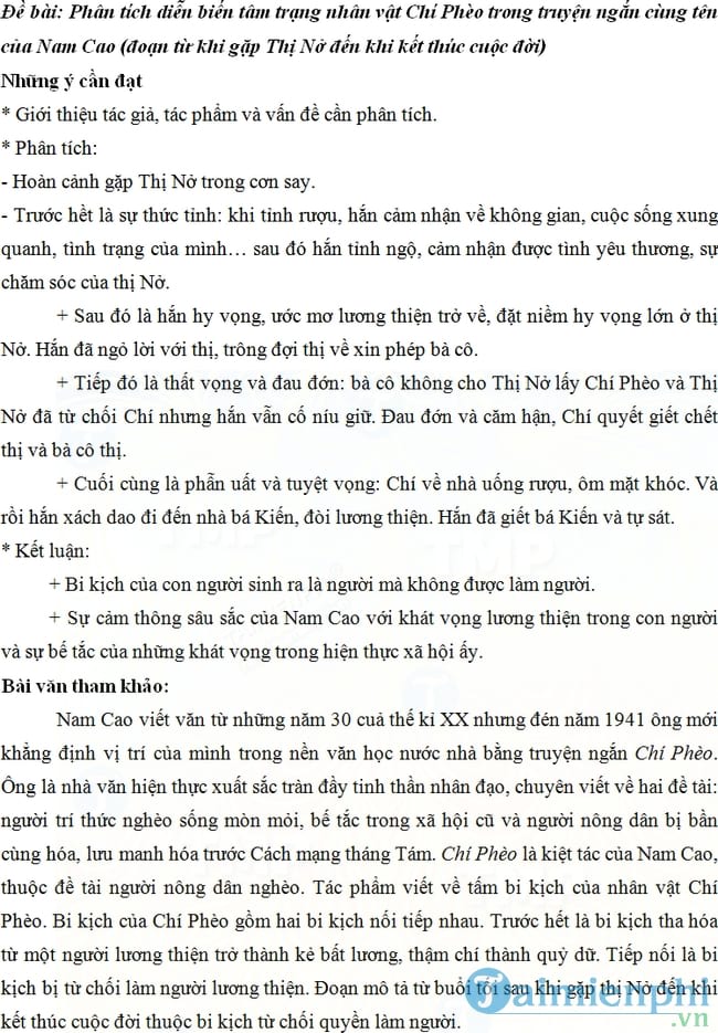 Diễn biến tâm trạng Chí Phèo sau khi gặp Thị Nở