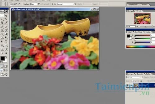 photoshop 7