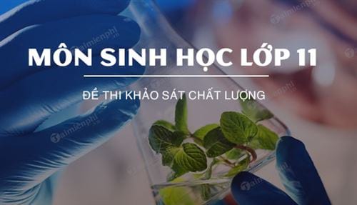 de thi khao sat chat luong mon sinh hoc lop 11