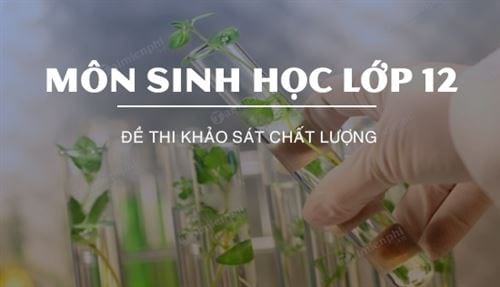 de thi khao sat chat luong mon sinh hoc lop 12
