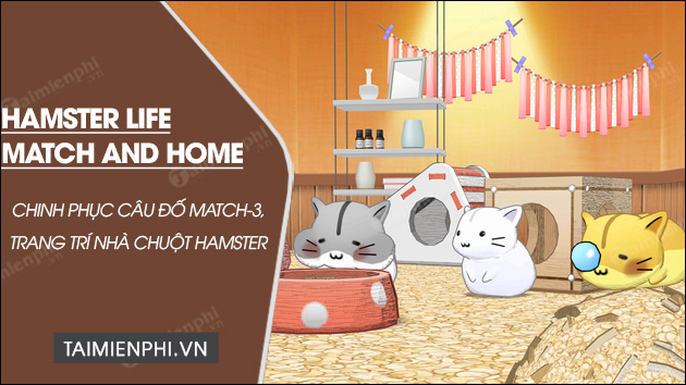 tai hamster life match and home