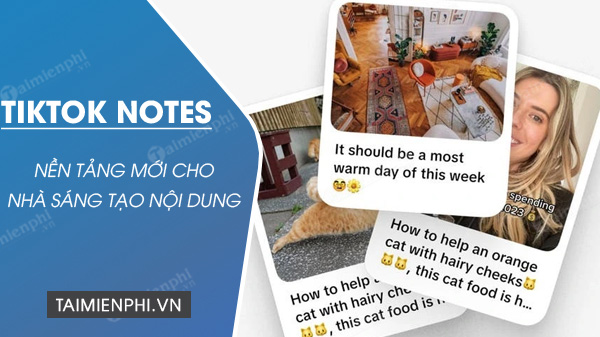 tai ung dung tiktok notes