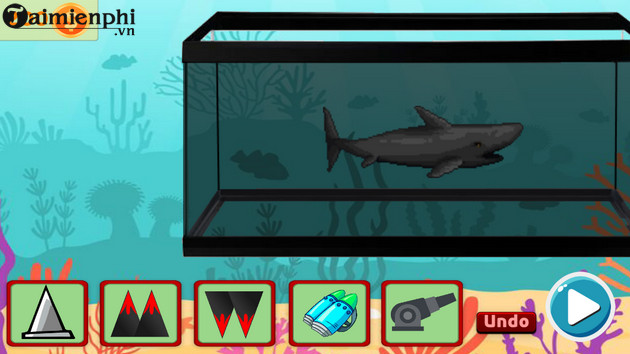 shark evolution