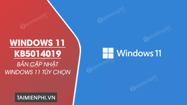 download Windows 11 KB5014019