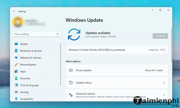 win 11 dev iso