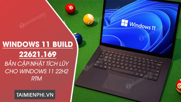 Windows 11 build 22621.169