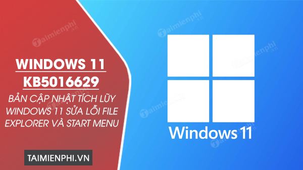 Download Windows 11 KB5016629