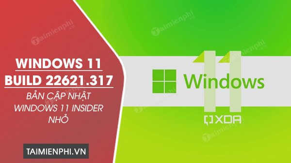 tai Windows 11 Build 22621.317
