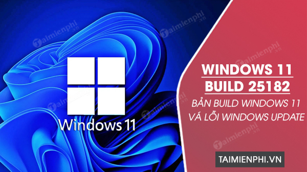 tai Windows 11 build 25182