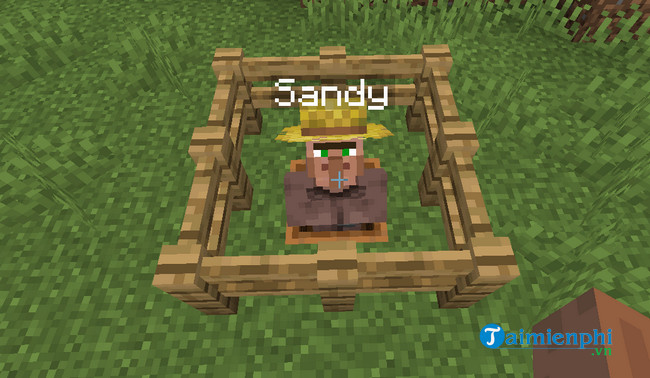 villager names mod