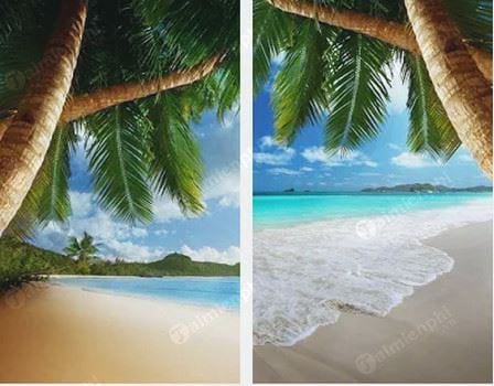 tropical beach live wallpaper