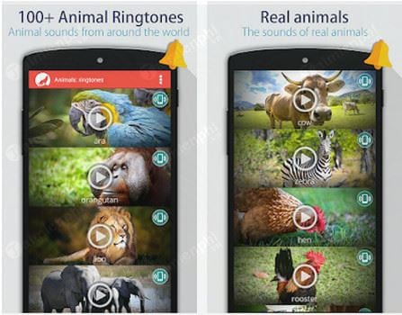 animals ringtones