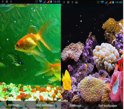 aquarium live wallpaper