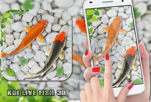 fish live wallpaper