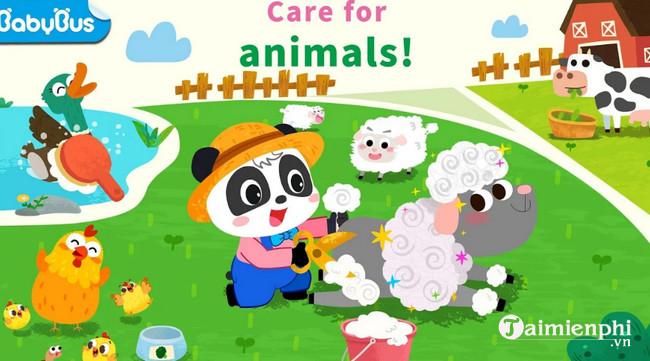 baby pandas animal farm