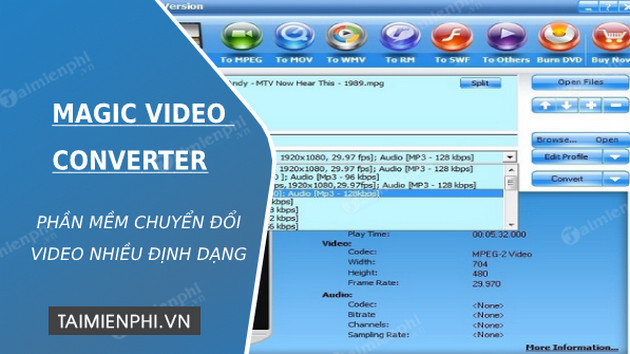 magic video converter