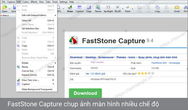 download faststone capture portable