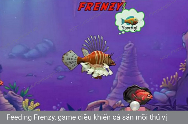 Feeding Frenzy 5, 2, 1 - Game cá lớn nuốt cá bé, game offline mini -ta